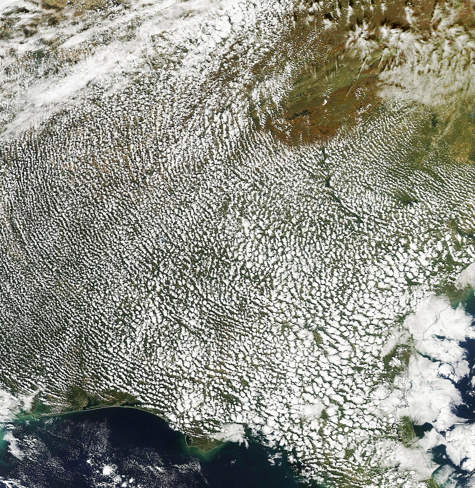 Popcorn Clouds over the Southeast United States (MODIS)